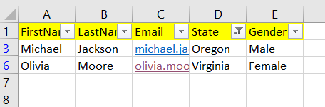 autofilter result using or operator